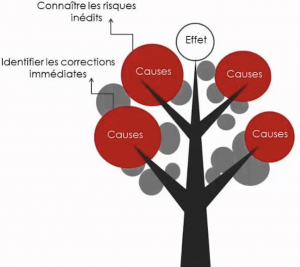 Arbre des causes